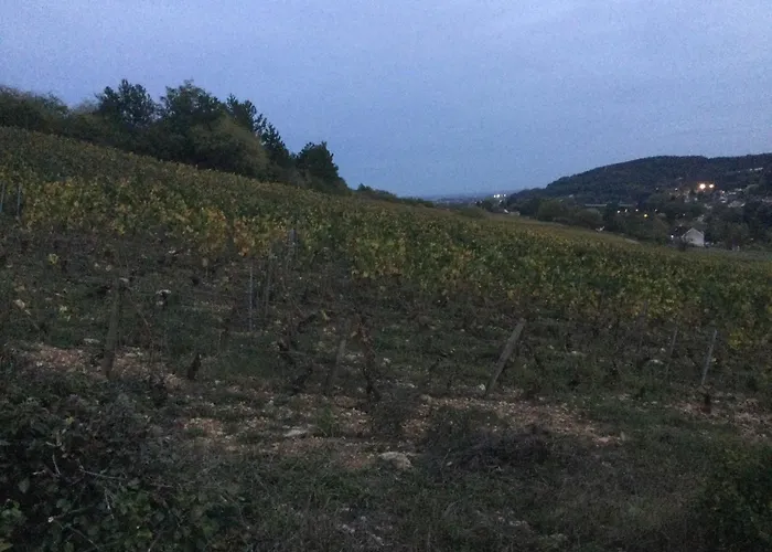 Savigny View